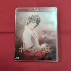 ポーの一族 特典付きDVD 明日海りお 千葉雄大 - メルカリ
