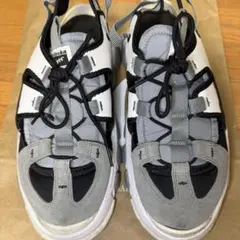 OnitsukaTiger オニツカタイガー　DENTIGRE CAGE 28