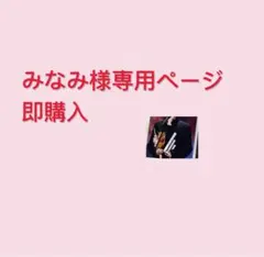 みなみ様専用ページ