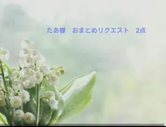 たあ様　２点　おまとめリクエストページ