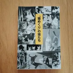 Item thumbnail for item 3d38bf4f-912e-4b57-886b-97dbf10a7586