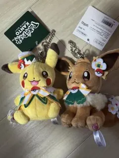 ポケパークカントー 限定 ピカチュウ イーブイ ぬいぐるみ マスコット