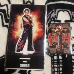 【メルカリ便】岩谷翔吾 アクスタ&フォトカ セット