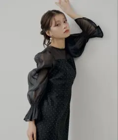 SALON by Chico配色シースルータイトロングドレス/オケージョン