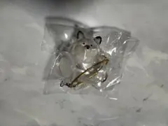 うちの子けだまだま 犬 黒柴