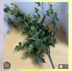 人工観葉植物 アイビー フェイクグリーン　インテリア　お勧め　新品のサムネイル