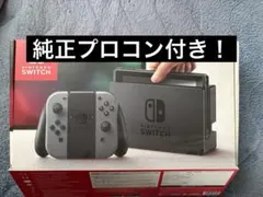 Nintendo Switch 初期型 2018プロコン付き 動作確認済み