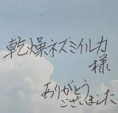 乾燥ネズミイルカ 様　専用