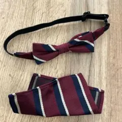 Item thumbnail for item 3bfa1ad8-8b70-4d4c-ace7-0cc54d4e6982