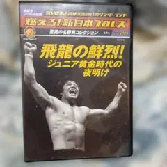 燃えろ！新日本プロレス vol.28 - メルカリ