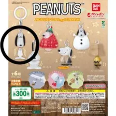 PEANUTS めじるしアクセサリー FUNNYver スヌーピーA
