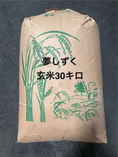 栃木県産 なすひかり玄米 30kg 令和7年産 - メルカリ