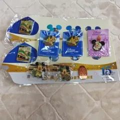 【新品・未開封品】ディズニーリゾート リゾートライナー ピンバッジ