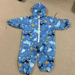 Item thumbnail for item dfd2b591-386e-4975-a76e-6bb28ef8fcee