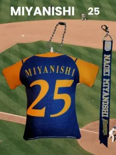 Item thumbnail for item 7ccdfda0-59a7-45f7-a3b3-b53ce6741c15