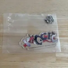 ハズビンホテル 一番くじ H賞 アクリルチャーム ヴァギー