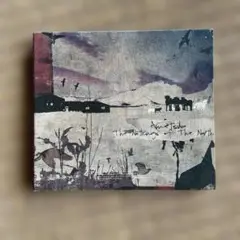【送料込】The Nothings Of The North ／ametsub