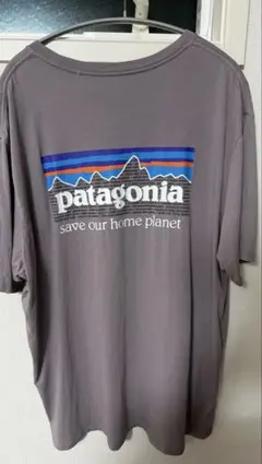 パタゴニア　P-6ミッションオーガニックTシャツ　XL