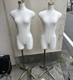 レディース　トルソー