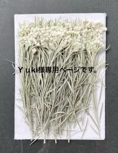 Yuki様専用ページです。