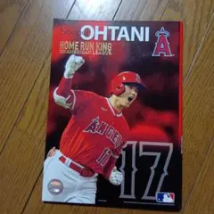 大谷翔平 ポストカード　セット
