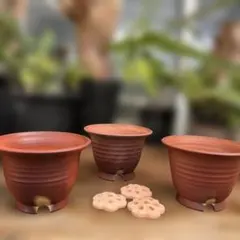 2026年最新】植木鉢 盆栽鉢 山野草鉢の人気アイテム - メルカリ