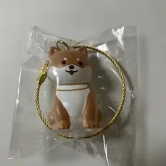 わんこのタイムカプセル　毛の入れ物