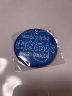 2026年最新】大阪ブルテオン 山内晶大の人気アイテム - メルカリ
