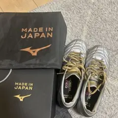 モレリアネオ4シルバー 24.5センチ