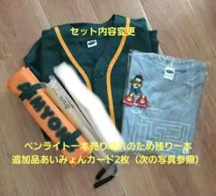 あいみょん 10TH 甲子園LIVE2026公式ユニフォーム 美品おまけ付き送込