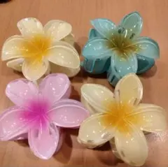 ハイビスカス プルメリア3個セット