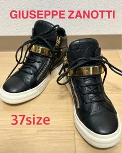 giuseppe zanotti