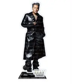 三代目JSB 15thスタジアム　ELLYアクリルスタンド