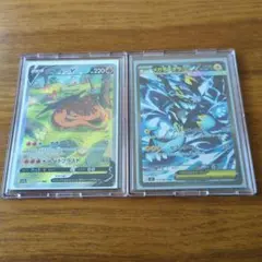 ポケモンカード Evolving Skies 未開封パック 2個セット - メルカリ