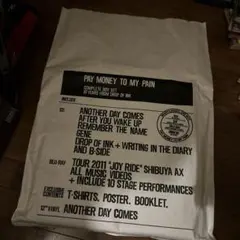 Pay money To my Pain CD DVD 8枚セット　中古品 Pay money To my Pain CD DVD 8枚セット 中古品 - メルカリ