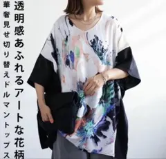 美品antiqua 華奢見せ切替ドルマントップス 花柄 完売品のサムネイル