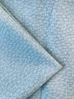 Item thumbnail for item acee1c6e-1ff3-4318-af09-4db6c5ce6979