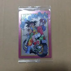 ドラゴンボールブルマ