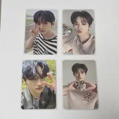 Stray Kids MAXIDENT リノ 封入トレカ