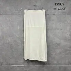 ISSEY MIYAKE イッセイミヤケ　パイル地 ロングスカート N1133のサムネイル