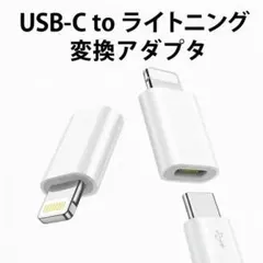 2点 タイプc → ライトニング 変換アダプタ iPhone 急速充電 急速