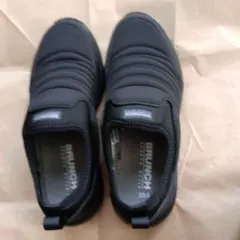 Item thumbnail for item 0c6fa654-733e-4902-a5b0-b7726652c34b