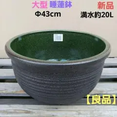 新品 ∅51 特大 陶器 睡蓮鉢 手造り メダカ鉢 難有 ラピスブルー LDB①
