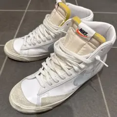 Item thumbnail for item 1e0061d9-c930-4bba-b09b-e348d035d09d