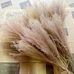 Item thumbnail for item e5fa7eb2-9326-41db-933f-06594830bcf1