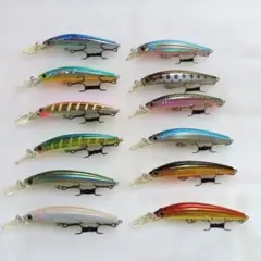 バスディシュガーミノー　12点セットのサムネイル
