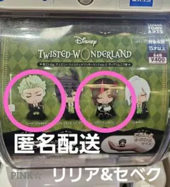 ✨ ツイステ ✨ リリア&セベク ✨ 肩ズンFig.　ディアソムニア寮 ✨