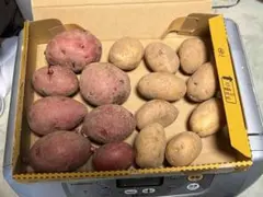 ブルー様 リクエスト 3点 まとめ商品