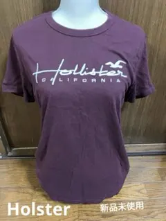 Hollister バーガンディ Tシャツ M 新品未使用のサムネイル