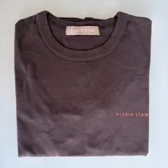 【ALEXIA STAM】アリシアスタン　ブラウン　ロゴプリントTシャツSサイズのサムネイル
